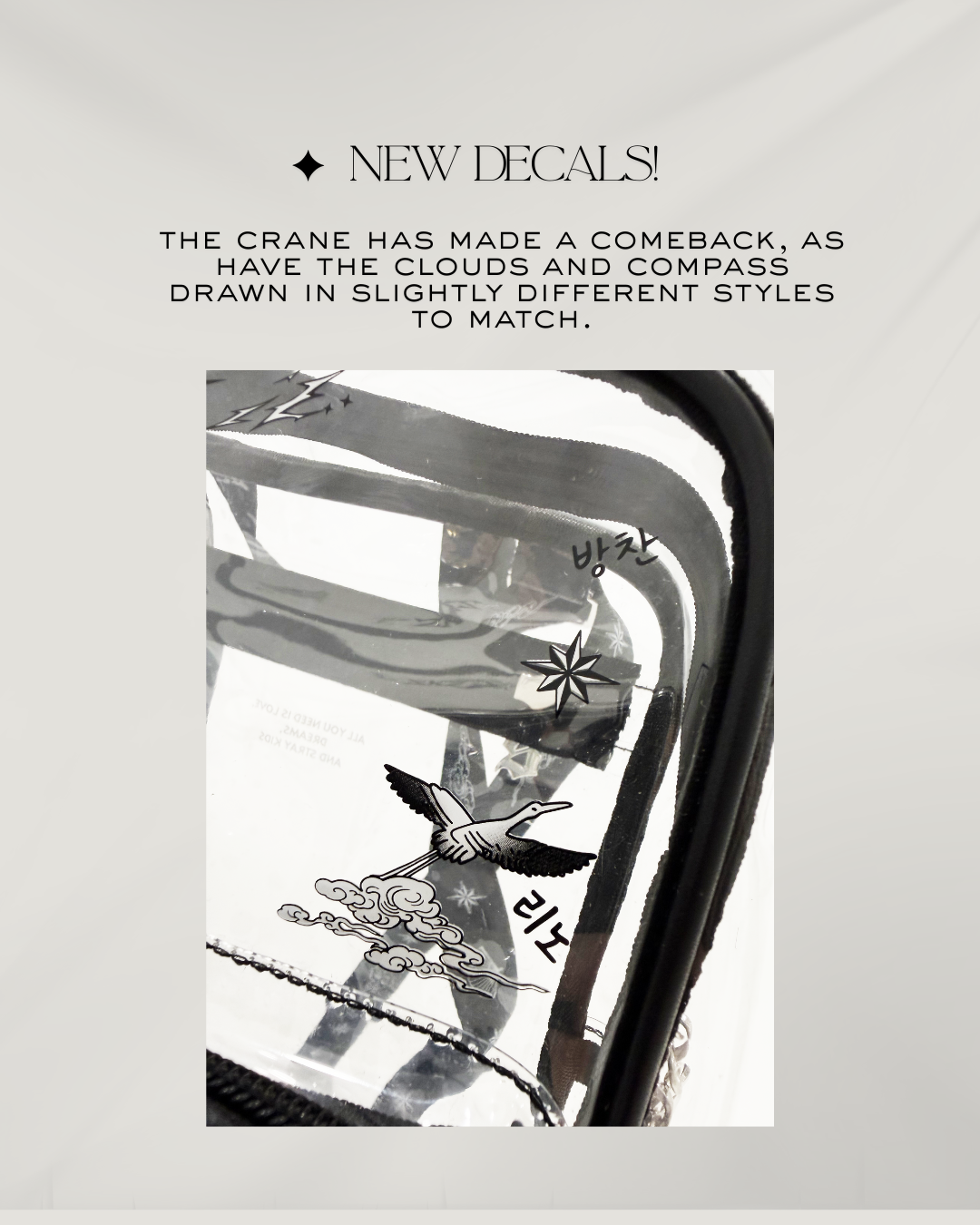 Stray Kids Divine Tour Bag Preorder