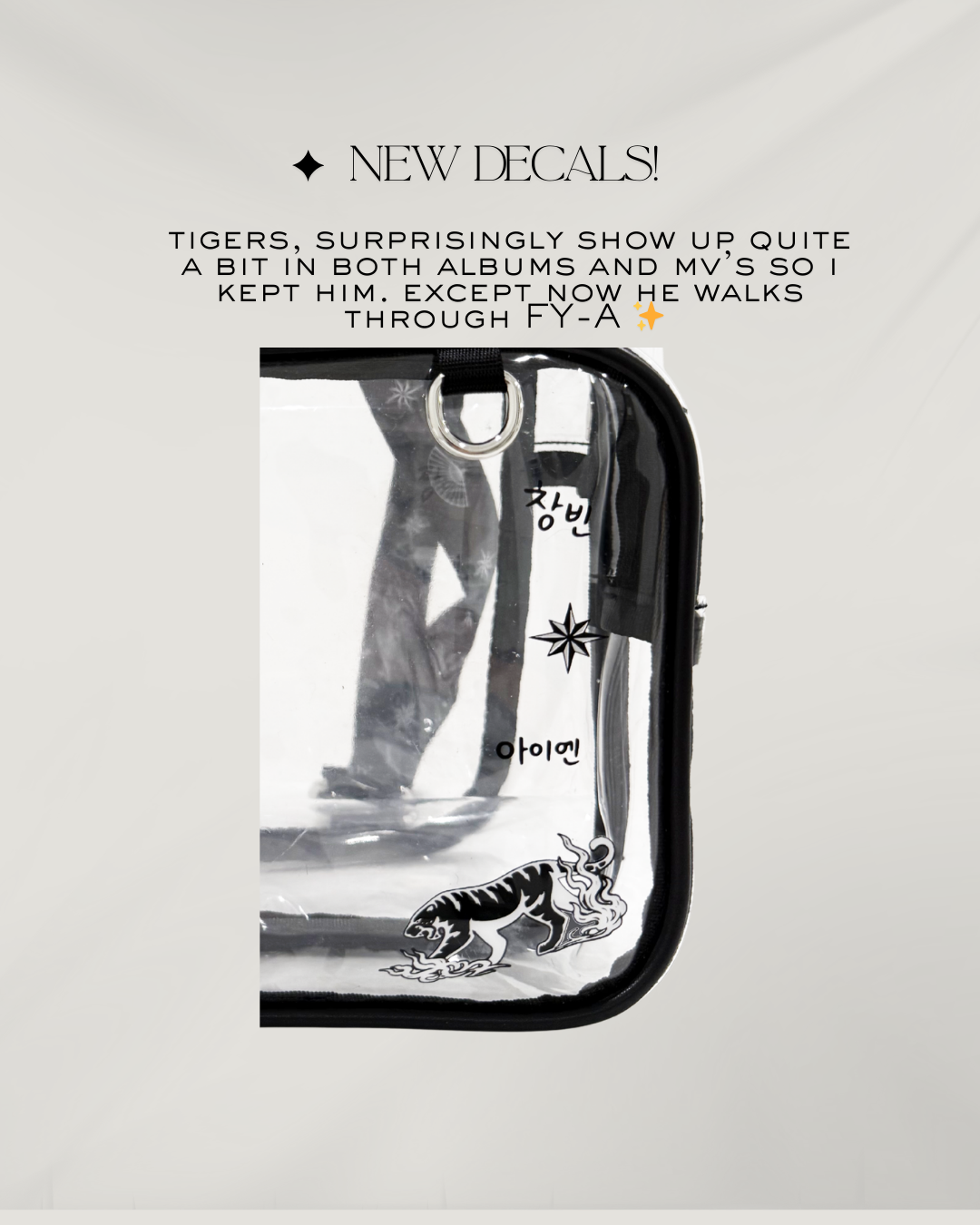 Stray Kids Divine Tour Bag Preorder