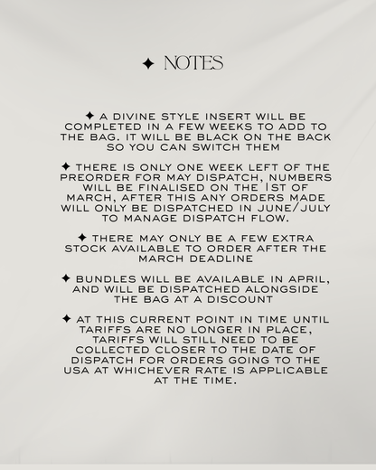 Stray Kids Divine Tour Bag Preorder