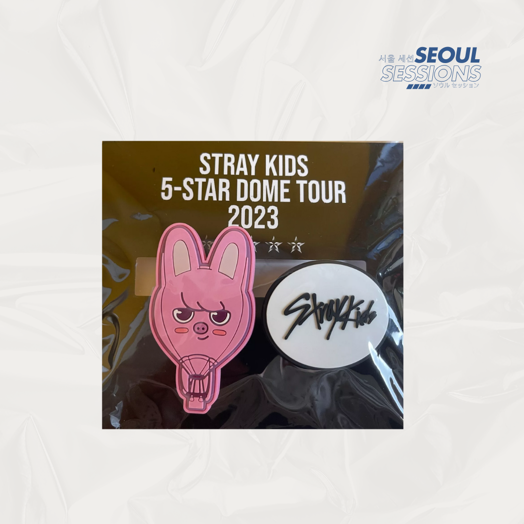 Stray Kids 5-Star Dome Tour 2023 Clip Set