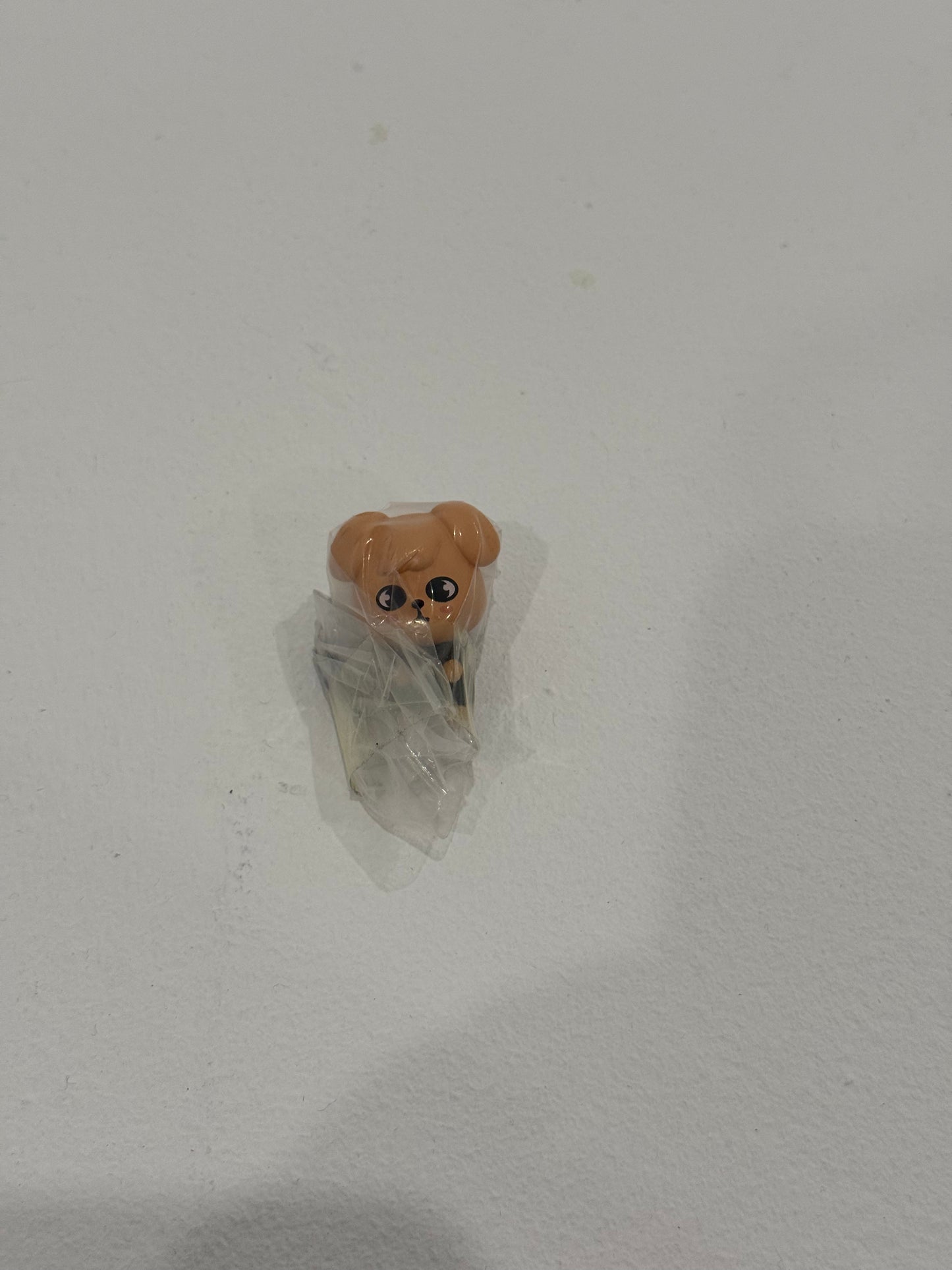 Puppy M Misc.