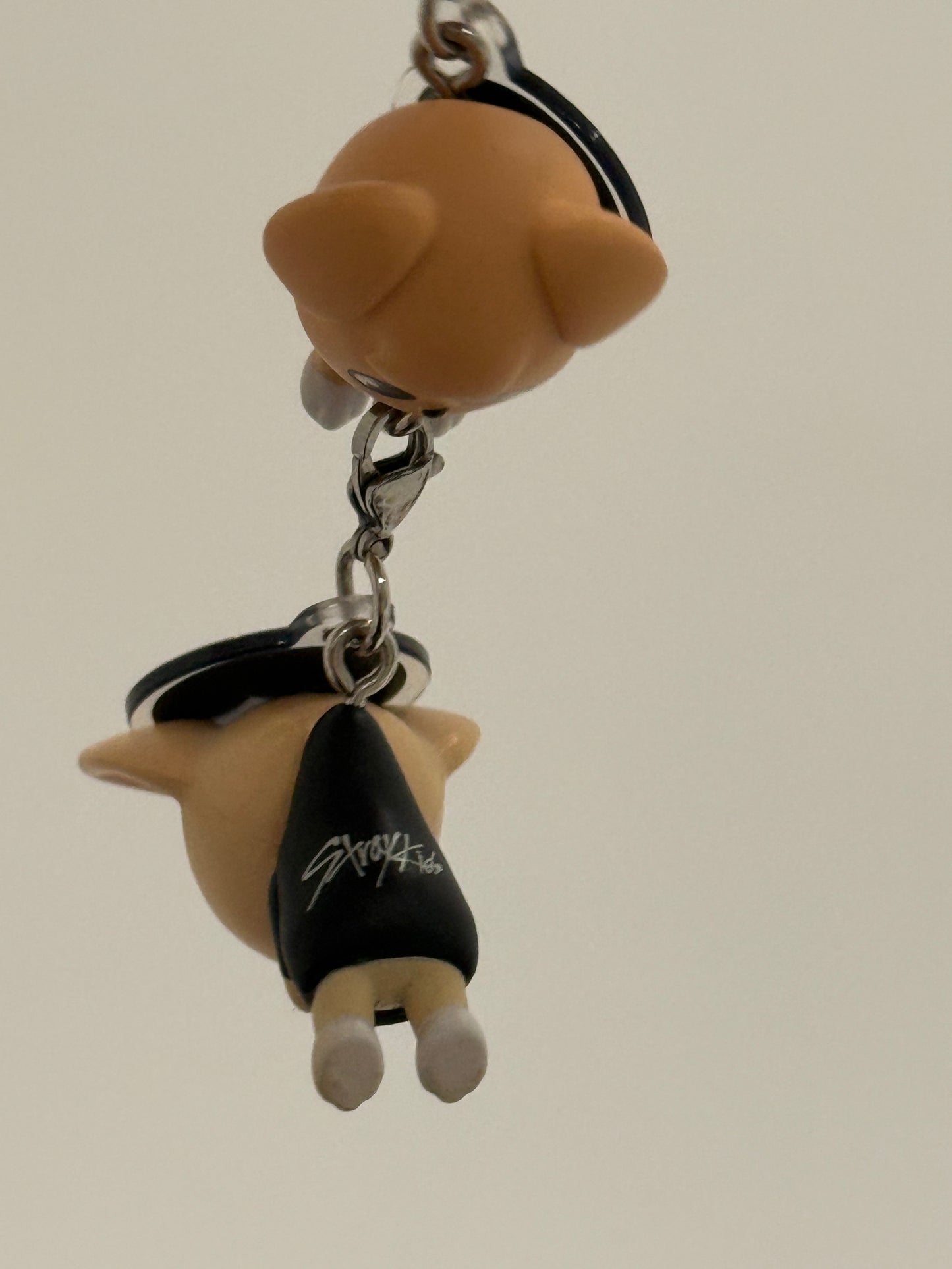 Puppy M Misc.