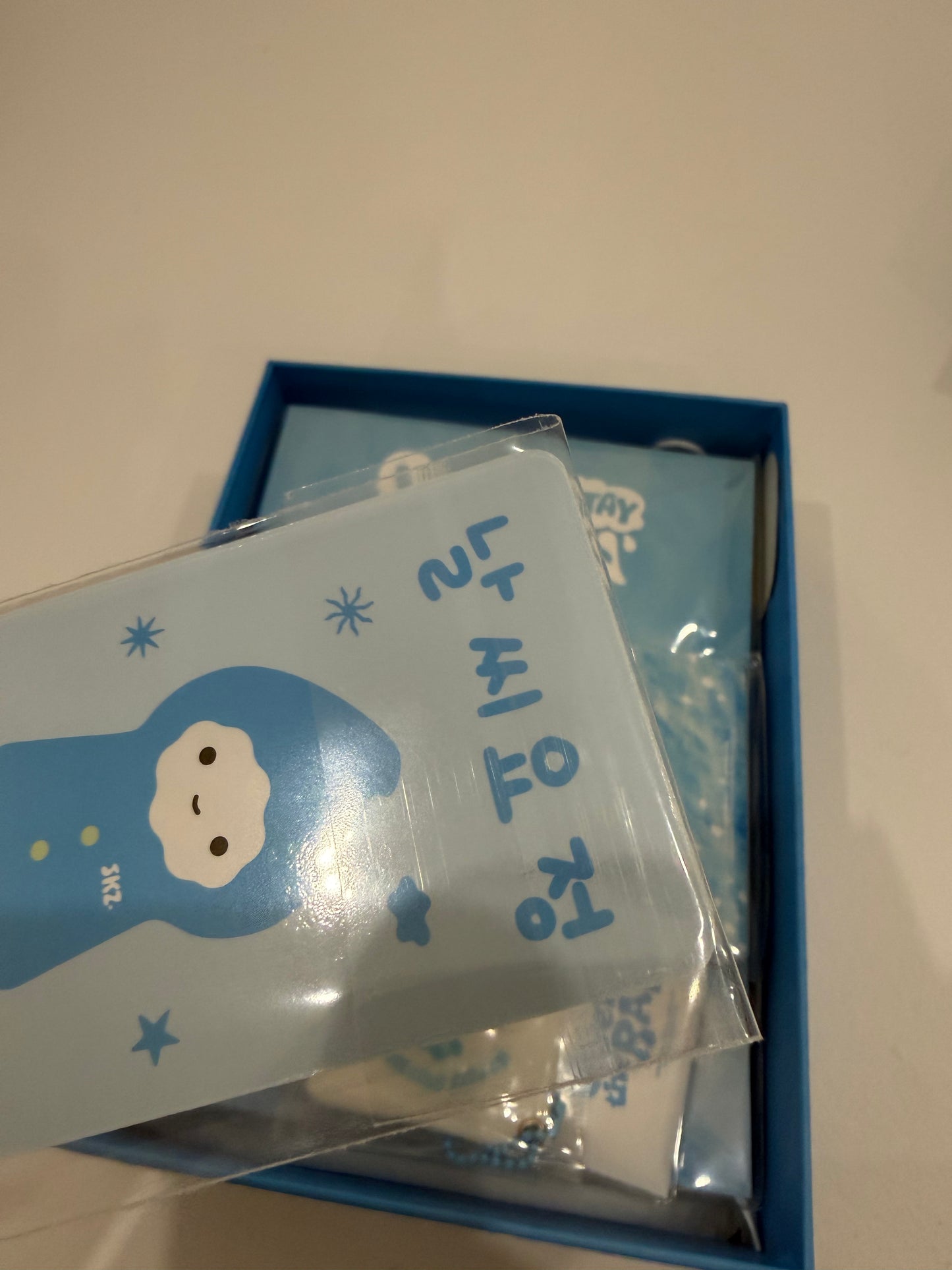 SKZ Misc