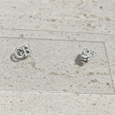 Stray Kids Earring Studs