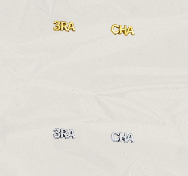 Stray Kids Earring Studs