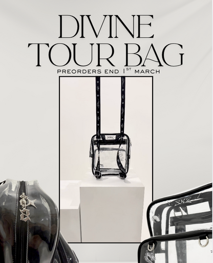 Stray Kids Divine Tour Bag Preorder