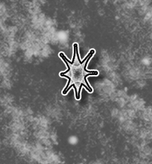 Stay Star Sticker Sets