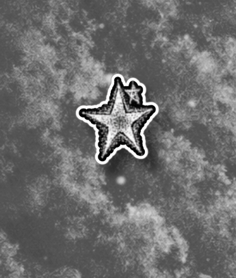 Stay Star Sticker Sets