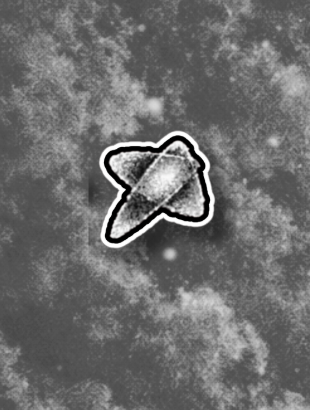 Stay Star Sticker Sets